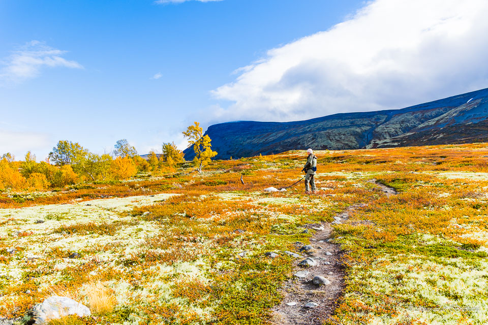2025-09-20-R6-Dovrefjell-044.jpg