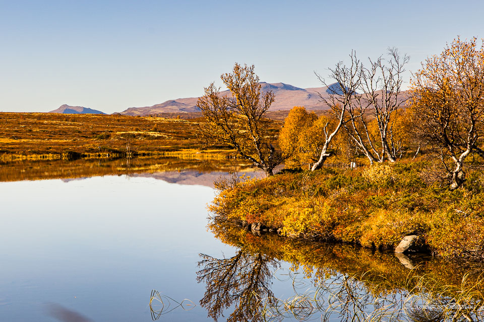 2024-09-22-R6A-Dovrefjell-035.jpg