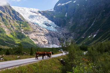 Fra Fjord til Fjell Fra Fjord til Fjell