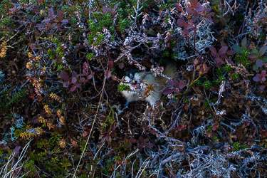 2013-10-01-650D-Grytavatnet-035.jpg