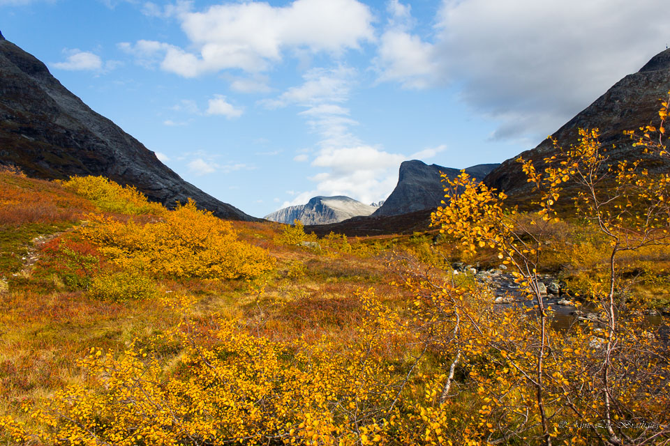 2017-09-28-650D-Dovrefjell-162.jpg