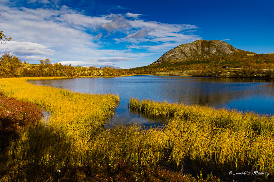 2021-09-26-R6A-Dovre-020.jpg