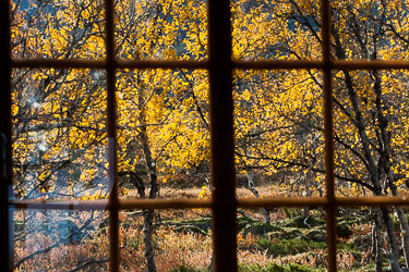 Naturens farger Naturens farger