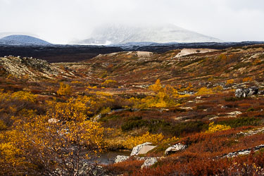2009-350D-Sep-25-Dovre_066.jpg