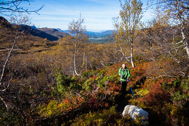 2013-10-01-650D-Grytavatnet-017.jpg