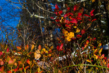Naturens farger Naturens farger