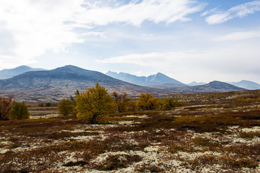 2014-09-19-650D-Dovre-015.jpg