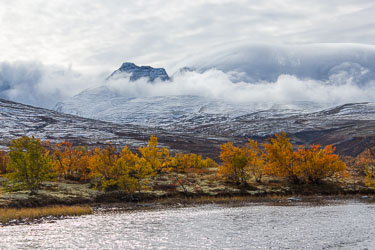 2017-09-28-650D-Dovrefjell-065.jpg