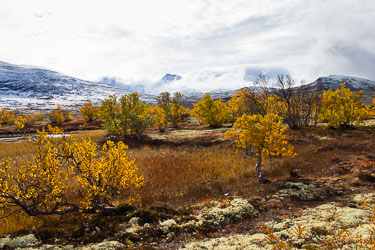 2017-09-28-650D-Dovrefjell-074.jpg