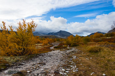 2018-09-23-650D-Dovrefjell-078.jpg