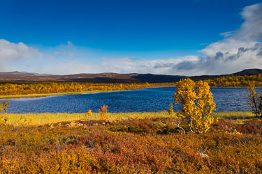 2020-09-20-R-Dovrefjell-006.jpg