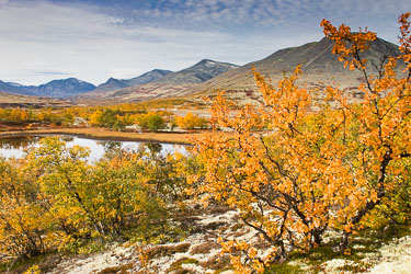 Naturens farger