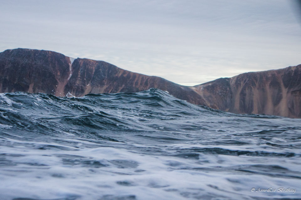 2022-08-18-800D-Svalbard-diverse-042.jpg