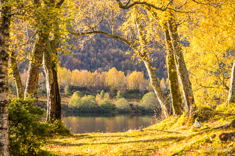 2024-10-10-R5II-Vassetvatnet-033.jpg