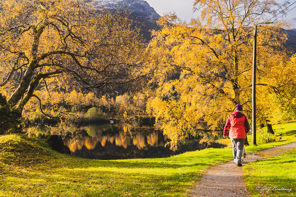 2024-10-10-R5II-Vassetvatnet-038.jpg