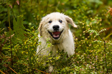 Kjekt ute 2024-08-21-R6II-Skinstadreset-339.jpg