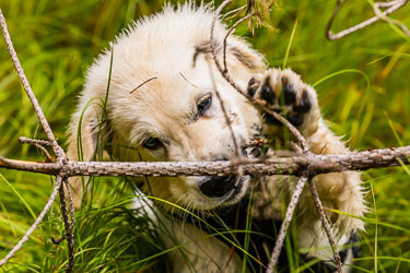 Nysgjerrig 2024-08-27-R5II-Skinstadreset-233.jpg