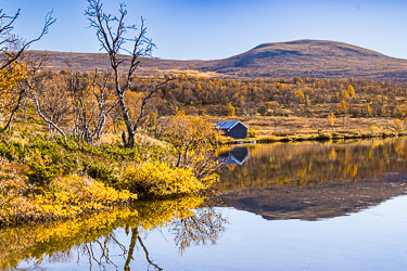 Flott sted for en rast 2024-09-22-R5II-Dovrefjell-068.jpg