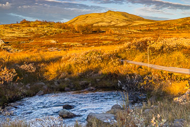 Mehøi i kveldssol 2024-09-22-R5II-Dovrefjell-190.jpg