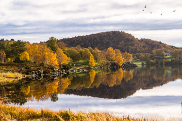 Farger på Sula 2024-10-10-R5II-Vassetvatnet-013.jpg
