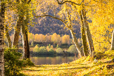 Høstportal 2024-10-10-R5II-Vassetvatnet-033.jpg