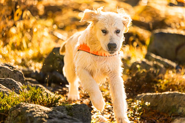 Lykke 2024-11-08-R5II-Stette-098.jpg