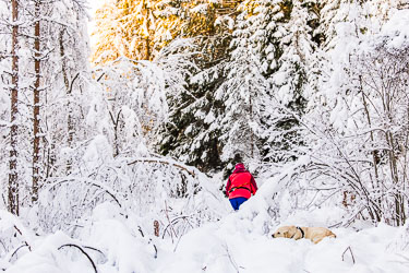 Masse snø er gøy 2024-11-21-R5II-Stette-348.jpg