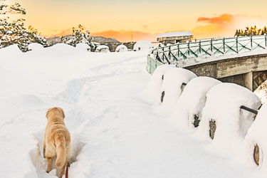 Er det gyllen framtid jeg ser? 2025-01-08-R5II-Broene-590.jpg