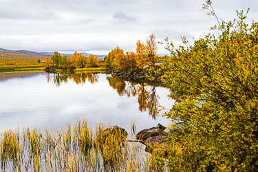 Vålåsjøen 2025-09-20-R5II-Dovrefjell-085.jpg