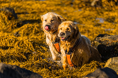 Parløp 2025-09-26-R5II-Stette-266.jpg