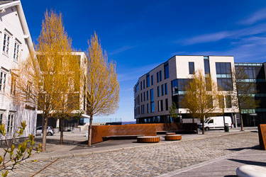 2026-04-27-R6II-Ålesund-014.jpg