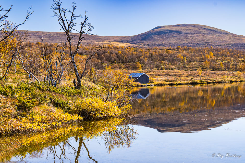 2024-09-22-R5II-Dovrefjell-068.jpg