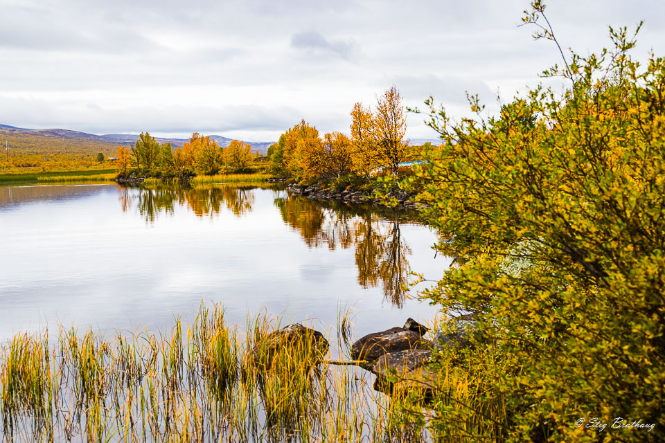 2025-09-20-R5II-Dovrefjell-085.jpg