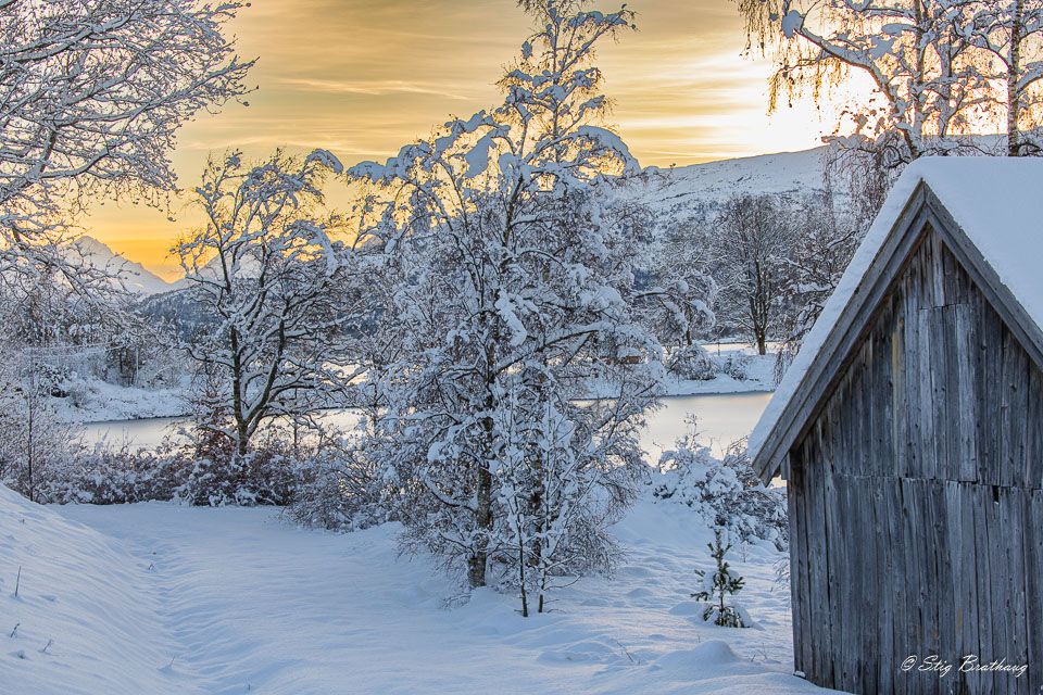 2022-12-17-R6II-Katevågen-011.jpg