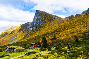 Steinstøylen 2025-09-30-R5II-Romedalen-031.jpg
