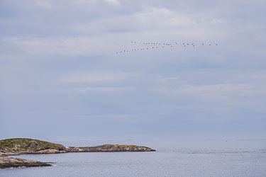 2026-08-13-R5II-Atlanterhavsveien-006.jpg