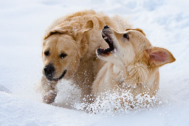 2008-30D-Feb-02-Hunder_329.jpg