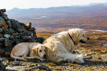 2014-09-19-5D-Dovre-137.jpg