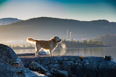 2019-11-05-5D-Stette-032.jpg