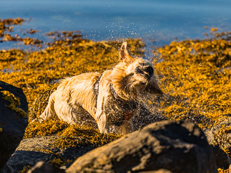 Trenger ikke håndkle 2025-09-26-R5II-Stette-222.jpg