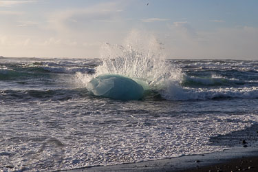 2026-10-11-R5II-Island-1184.jpg