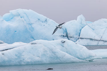 2026-10-11-R5II-Island-1056.jpg