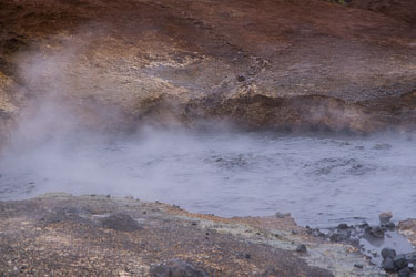 2026-10-11-R5II-Island-1275.jpg
