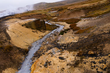 2026-10-11-R5II-Island-1281.jpg