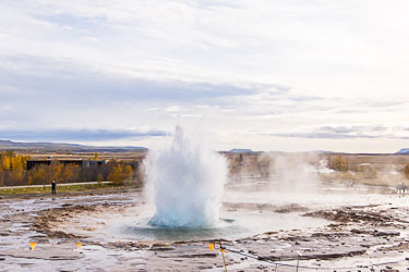 2026-10-11-R5II-Island-291.jpg