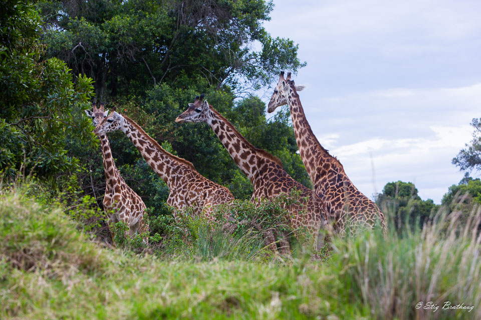 2018-09-09-5D-Afrika-1788.jpg