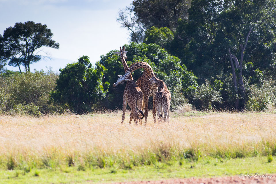 2018-09-09-7D2-Afrika-2-1077.jpg