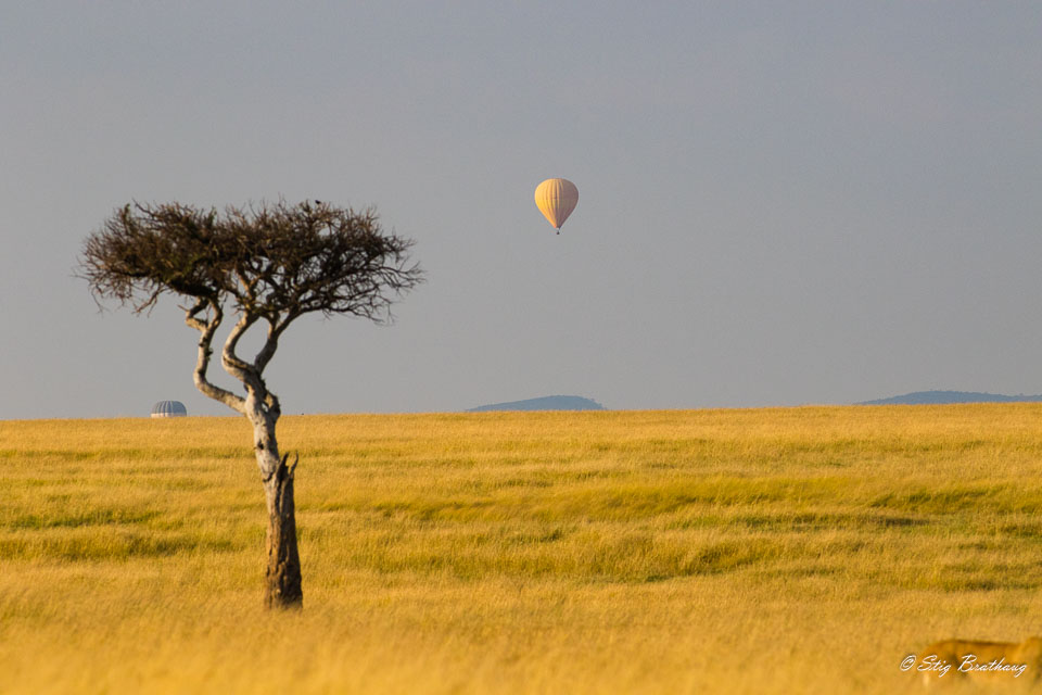 2018-09-09-7D2-Afrika-1-4056.jpg