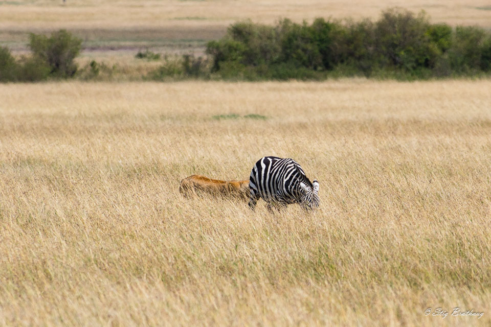 2018-09-09-7D2-Afrika-1-3030.jpg