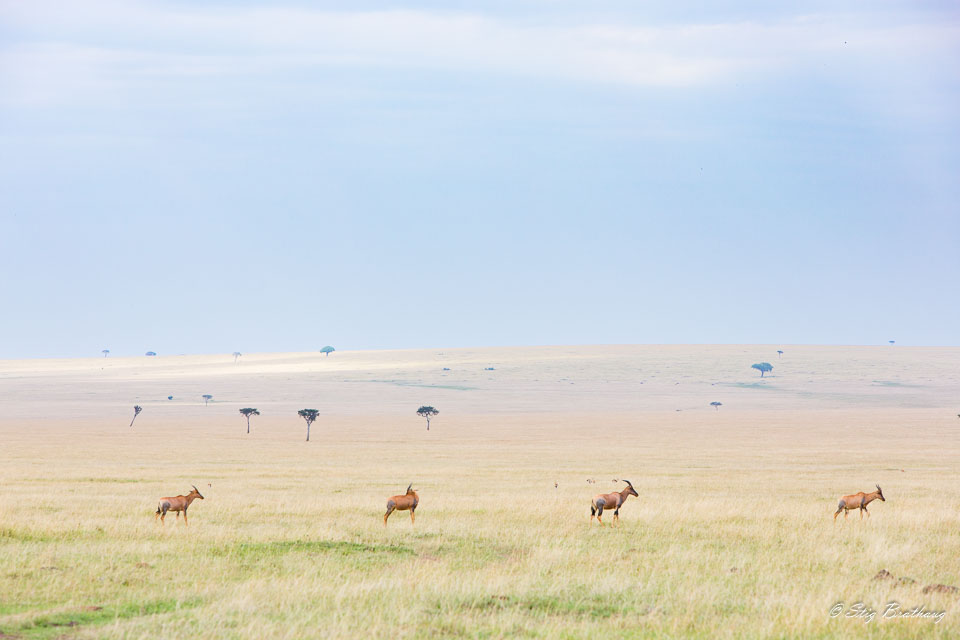 2018-09-09-5D-Afrika-1094.jpg